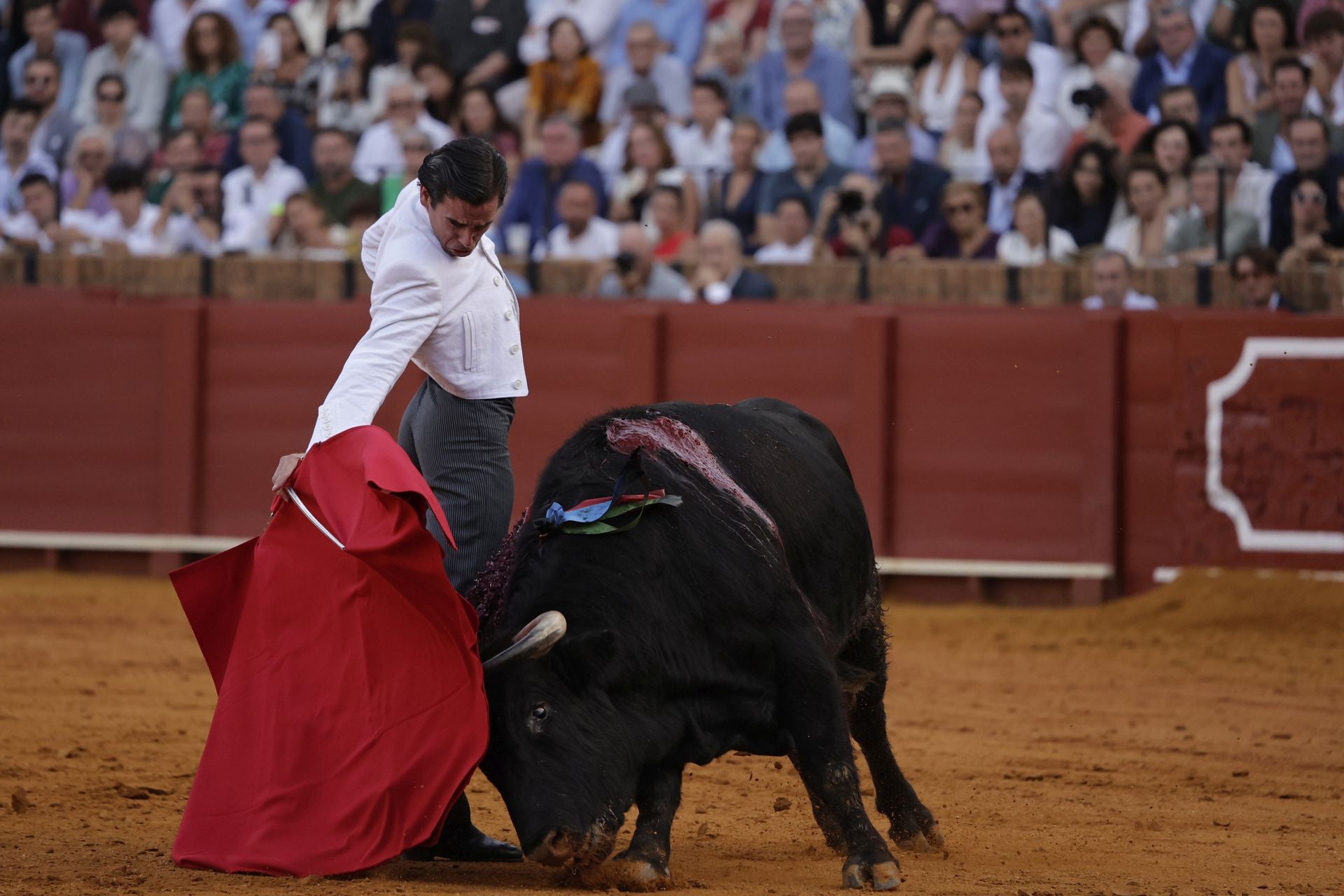 Festival taurino en la Maestranza
