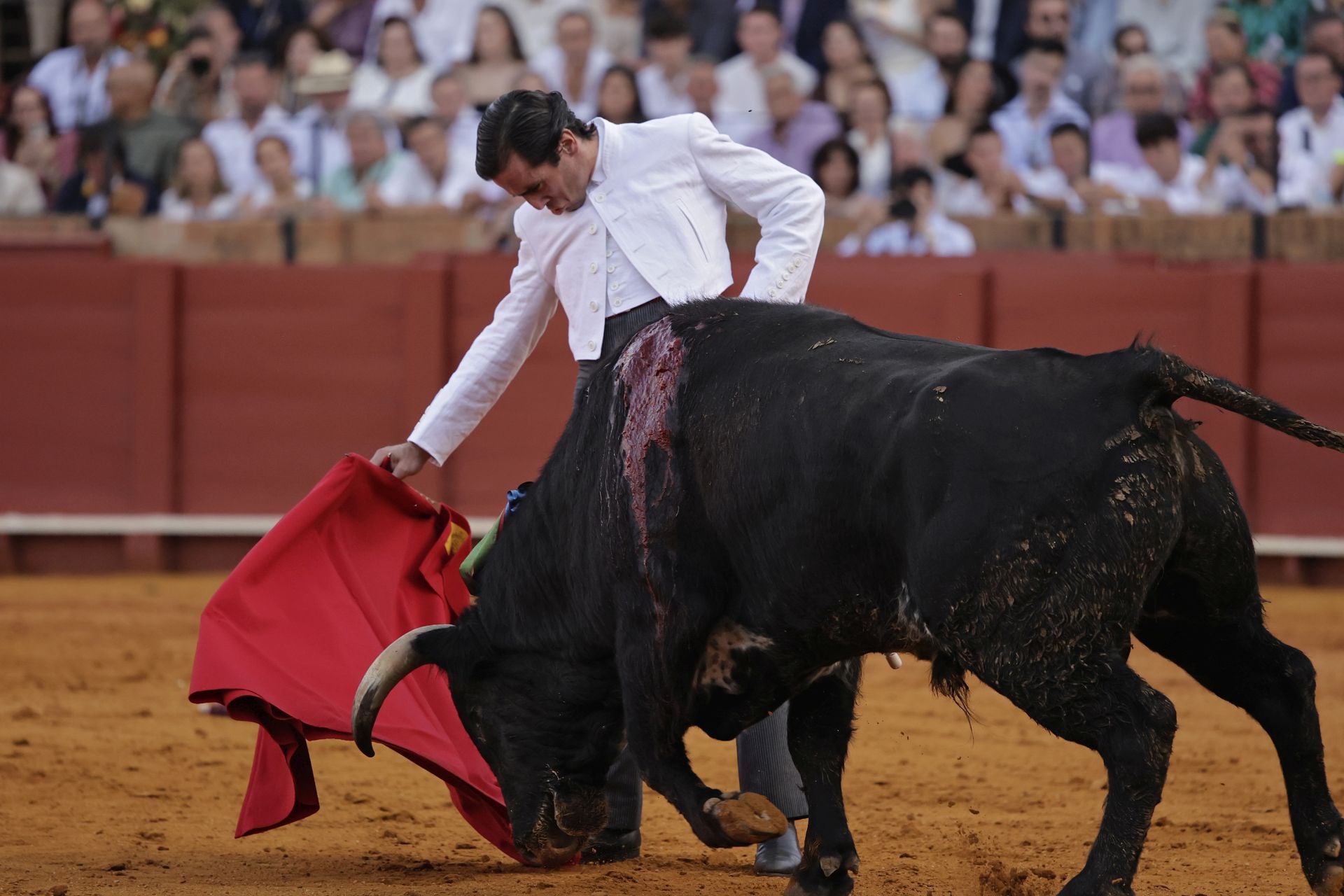 Festival taurino en la Maestranza