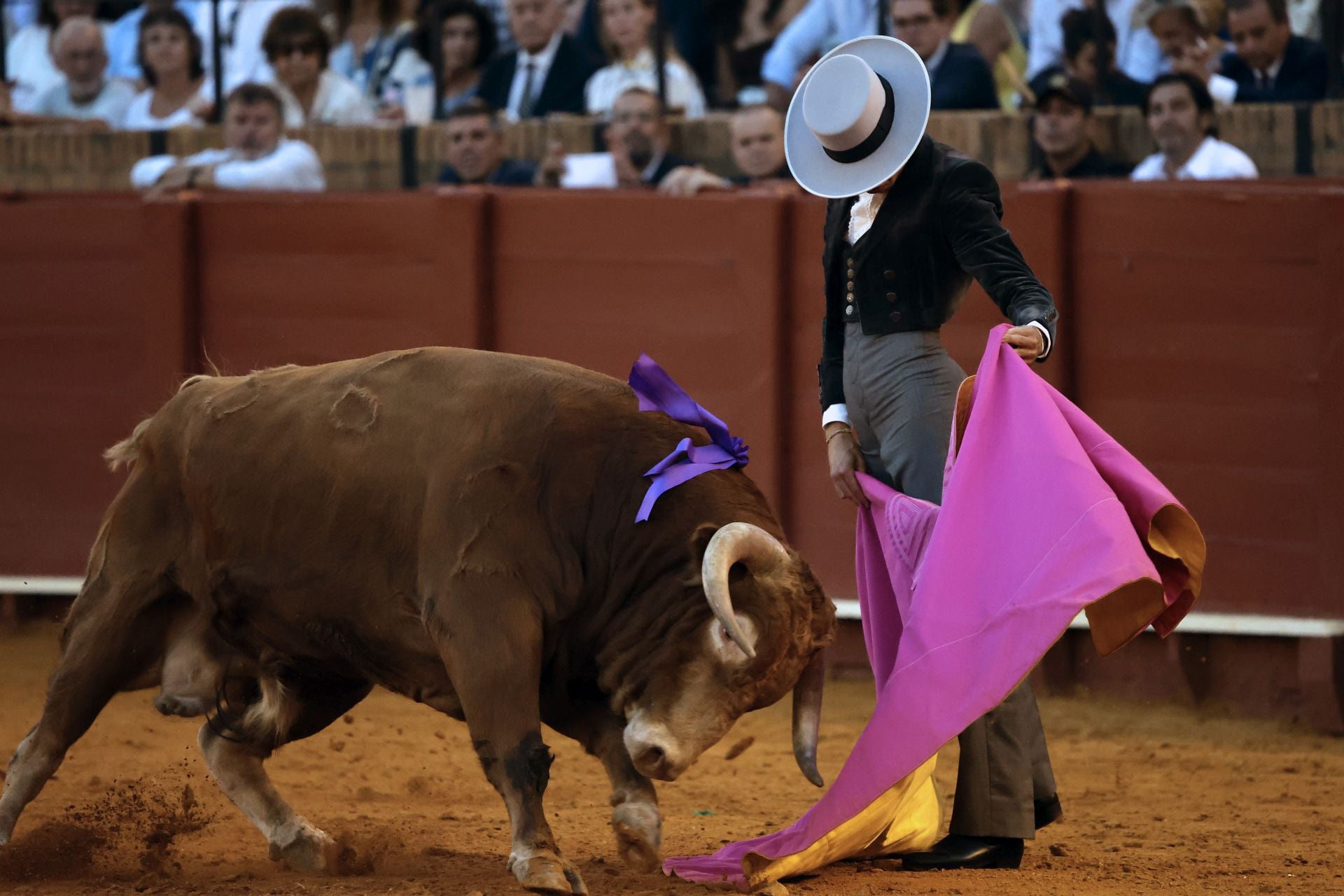 Festival taurino en la Maestranza