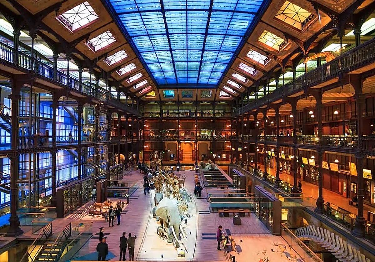 Interior del Museo de Historia Natural de París, donde hubo un robo en septiembre
