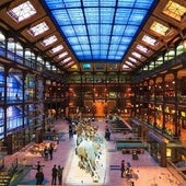 Siete robos en un año: la seguridad de los museos franceses queda en entredicho