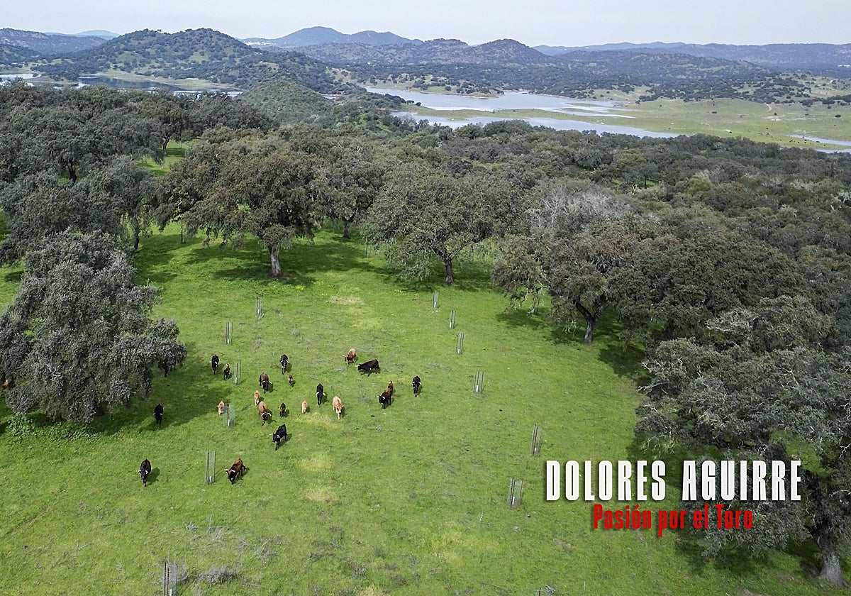 Fotograma del documental 'Dolores Aguirre, pasión por el toro'
