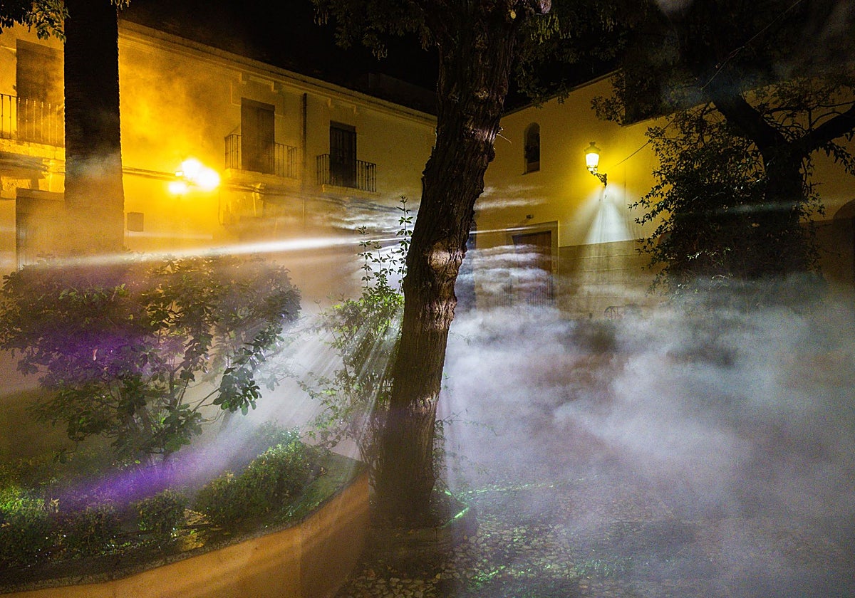 El programa incluye visitas guiadas de jueves a domingo