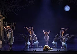 'El lago de los cisnes', inquietantes, masculinos y revolucionarios