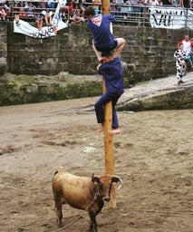 Luz verde a la tramitación de la ley vasca de festejos taurinos de fomento