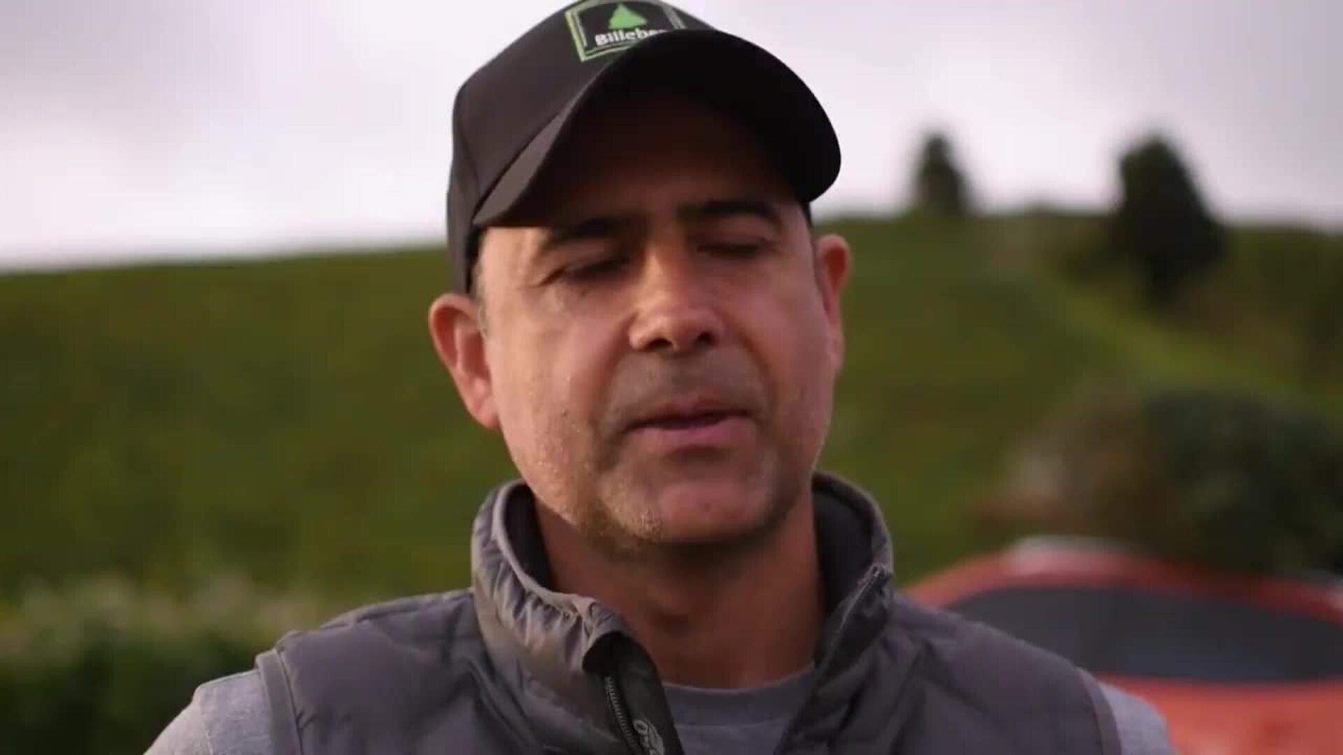 Una plantación de pinabete certificado promueve una Navidad sostenible en Guatemala