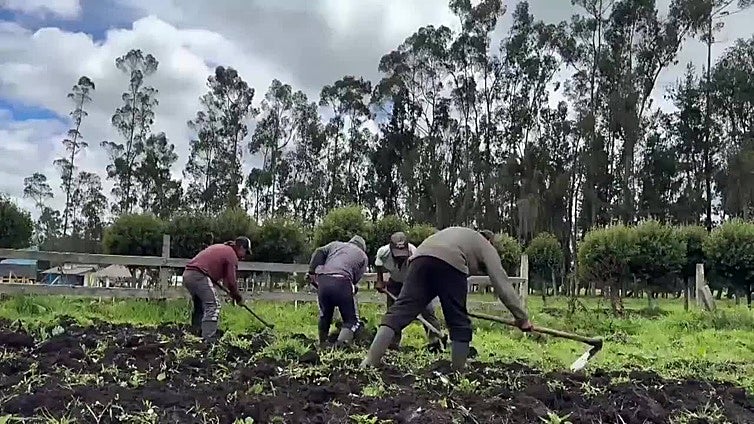 Un banco de semillas lucha contra el hambre en un resguardo indígena del suroeste Colombia