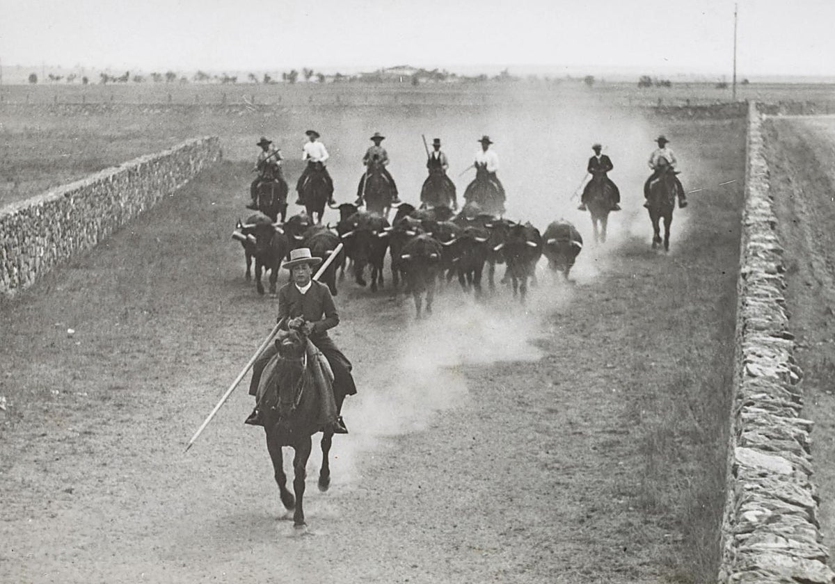 Antonio Pérez-Tabernero, en un encierro en la estación de Villar de los Álamos, con la casa de San Fernando al fondo (1945)