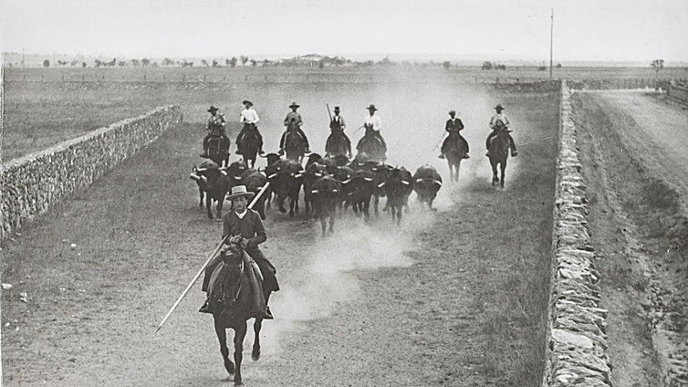 Tesoros ocultos en el Oeste bravo: un toro, un hombre y un caballo