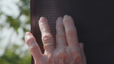 Foto novembro de 2025