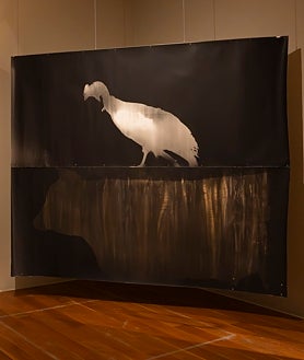 Imagen secundaria 2 - En las imágenes, algunas de las obras de 'Intersticios', en el MARCO de Vigo, de Roberto Huarcaya