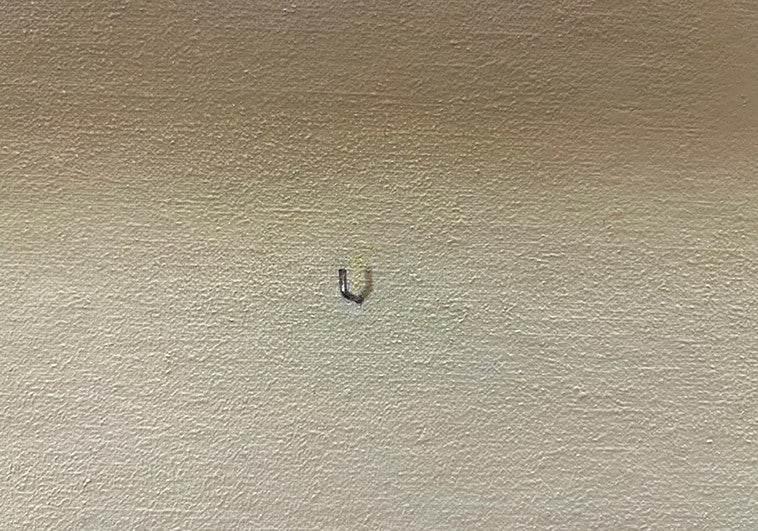 La profunda levedad de Martí Cormand