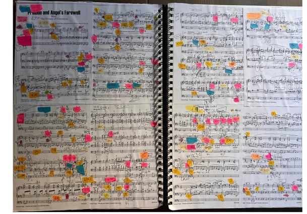 Anna Lapwood'un birlikte çalıştığı müziklerden biri