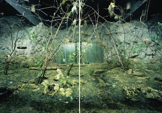 'Munich-Zoo-n2' (2017-2020), de Primoz-Bizjak