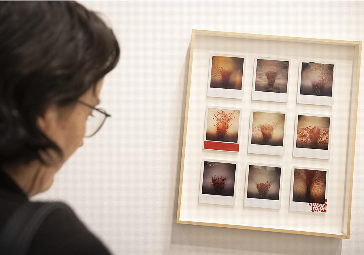 カルチャーがARCOのソフィア王妃芸術のために17点の作品を40万ユーロで獲得
