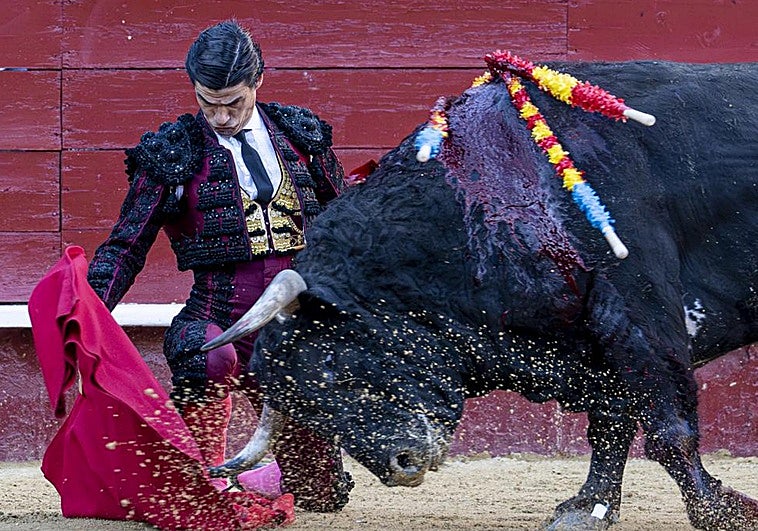 Pablo Aguado, torerísimo rodilla en tierra