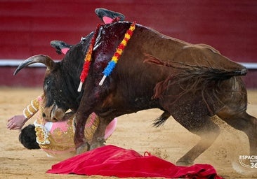 El hambre de ser torero de Norte a Sur