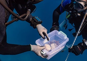 Hallan restos del Partenón en el naufragio del Mentor