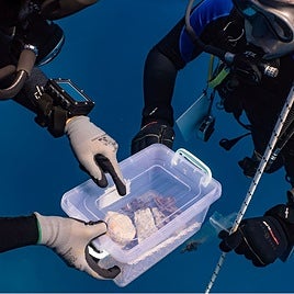 Los buzos, con el fragmento decorativo de mármol rescatado del pecio del Mentor.
