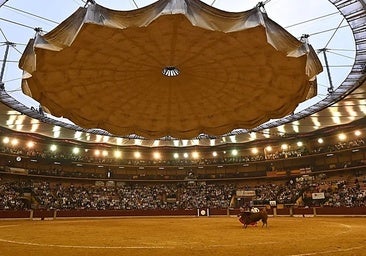 Pueblos del Toreo requiere a la DPZ que cumpla con la ley de contratos públicos