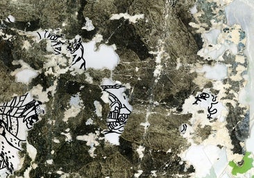 'Háptica': poética mortalidad de la imagen en Fontcuberta