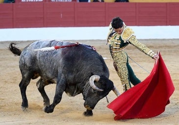 569 días después... Mario Navas