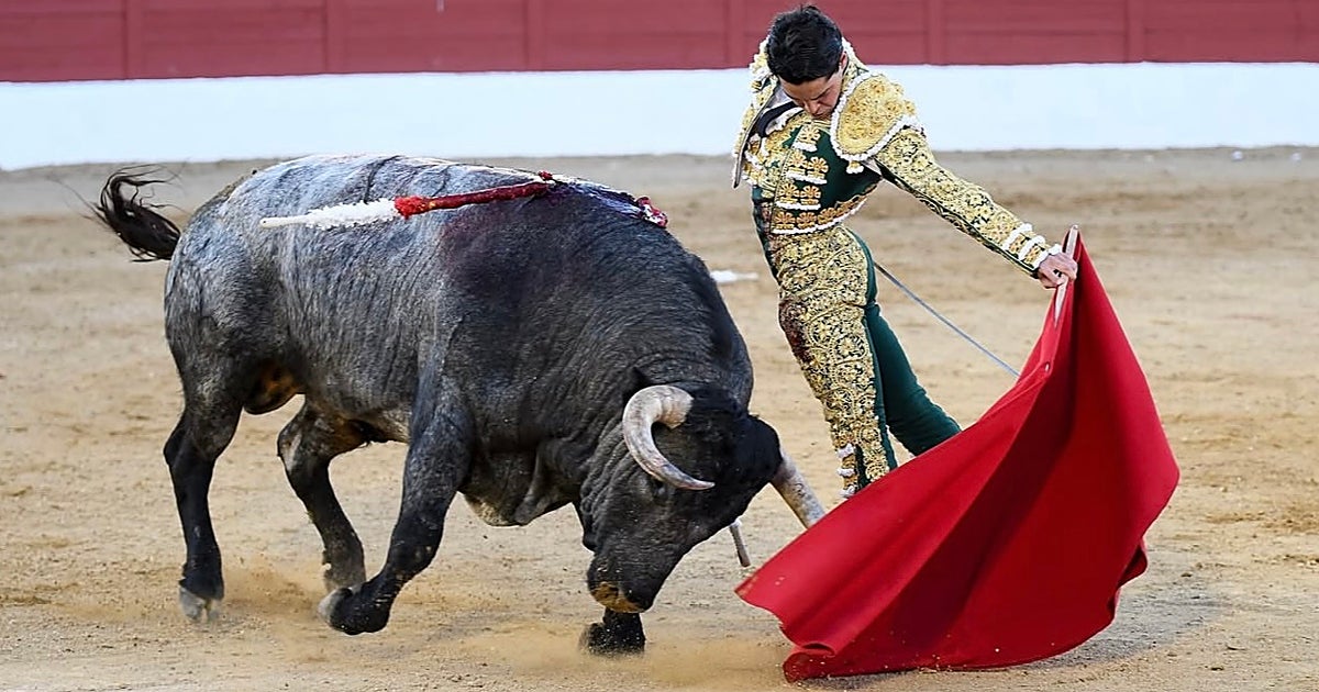 569 días después... Mario Navas