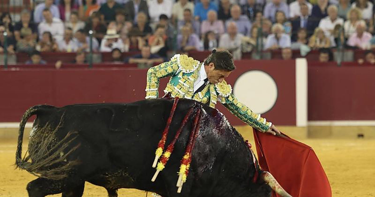 El concurso de la Misericordia sigue nulo: la Justicia rechaza la petición de la Diputación de Zaragoza
