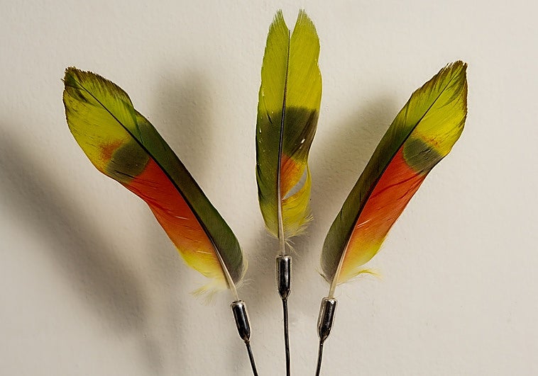 Donna Conlon y el canto de los pájaros