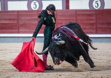 Madrid se vuelca con Curro