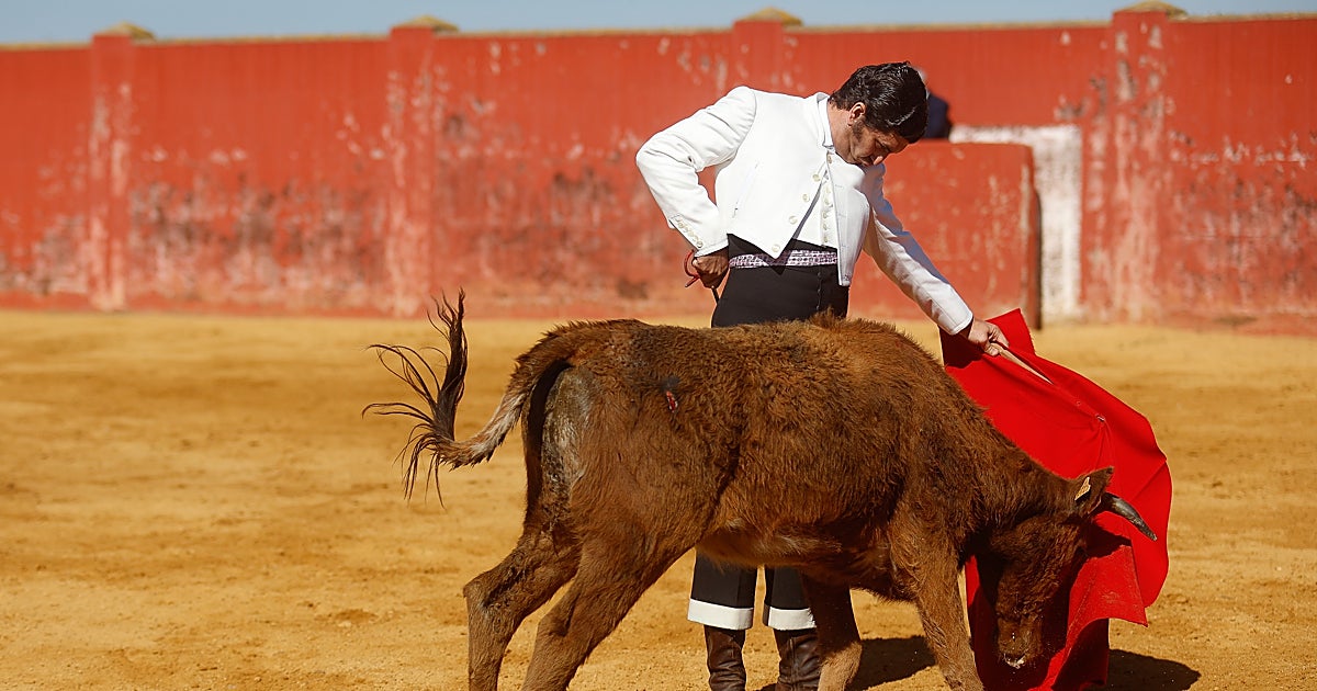 Morante: «Yo no hago eventos, lo que yo defiendo es la liturgia de una corrida de toros»