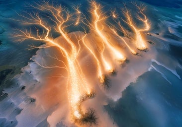 Marina Núñez o el discreto encanto de la tecnología