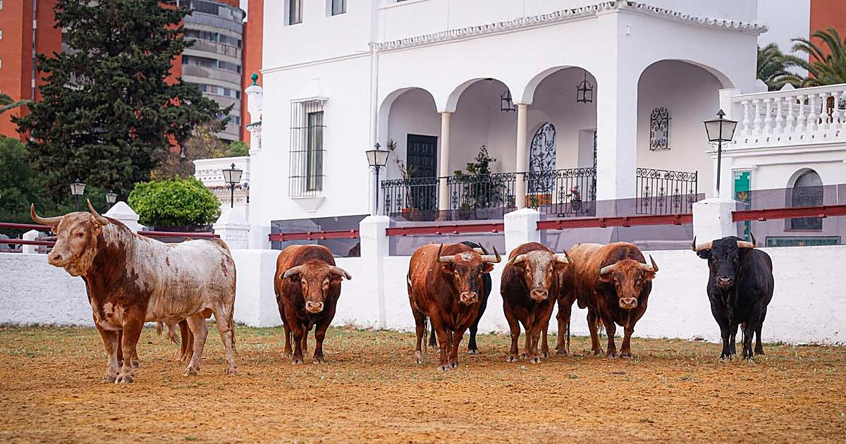 La Real Venta de Antequera recupera la tradición y recibe los primeros toros de la Feria de Abril