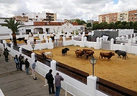 Los toros vuelven cuarenta años después a la Venta de Antequera… mientras Garzón sueña con ver al Papa en el Corpus