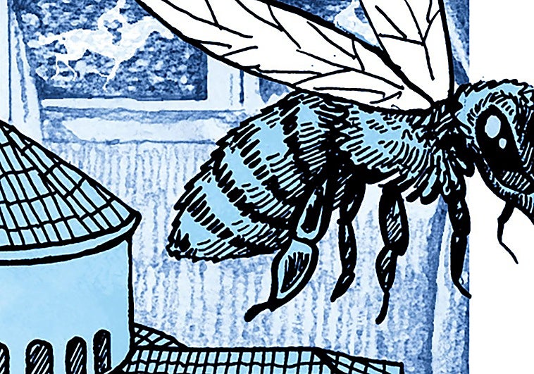 Santo Stefano Rotondo