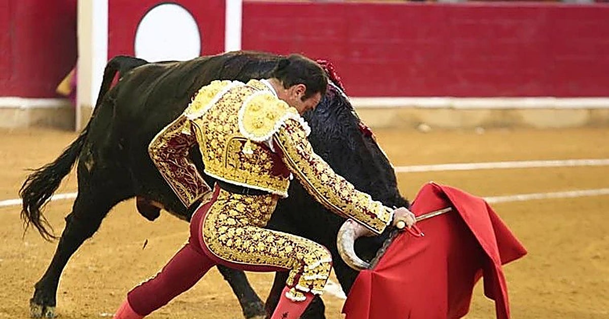 Varapalo judicial a la Diputación de Zaragoza: Denegadas las medidas cautelares que podían seguir con el concurso