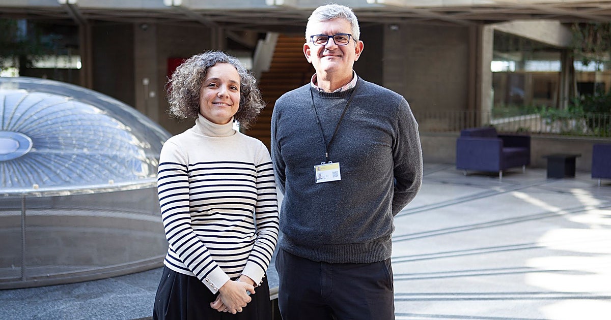 Cultura califica de «provisional» el dedazo en el Instituto del Patrimonio