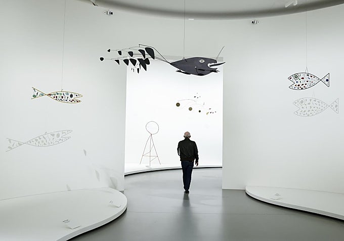 Peces parecen nadar por una de las salas de la exposición.