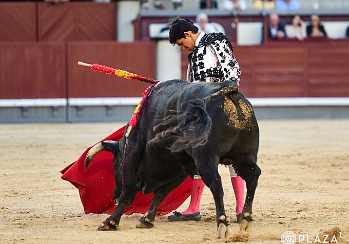 Buena actuación de Tomás Bastos