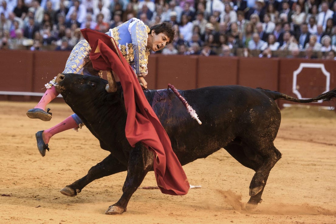 La secuencia de la cogida a Roca Rey en la Maestranza de Sevilla