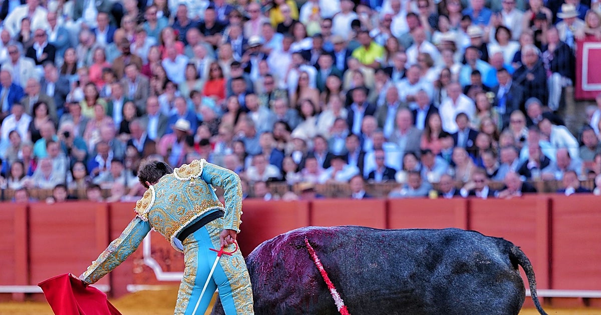 Una miurada con muchos perejiles y un importante Lamparillo