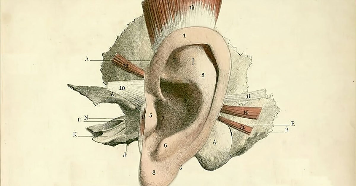 La propuesta vaticana en la Bienal de Venecia es una «oración sonora» para ayudar a escuchar