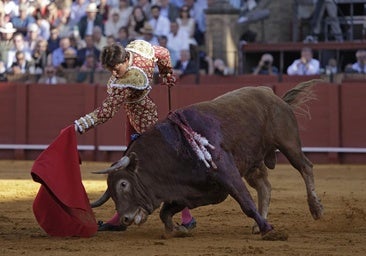 Porgramación de las corridas de toros en Las Ventas de Madrid por San Isidro