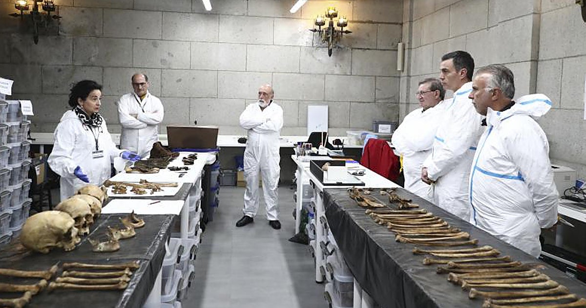 Engañadlos a todos, el Estado elegirá a los suyos