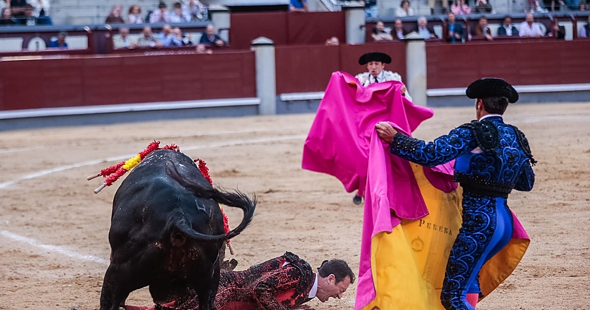 Álvaro Serrano roza el triunfo en Las Ventas mientras el banderillero Raúl Ruiz sufre una grave cornada
