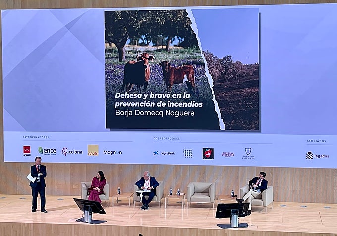Borja Domecq en el IESE Business School