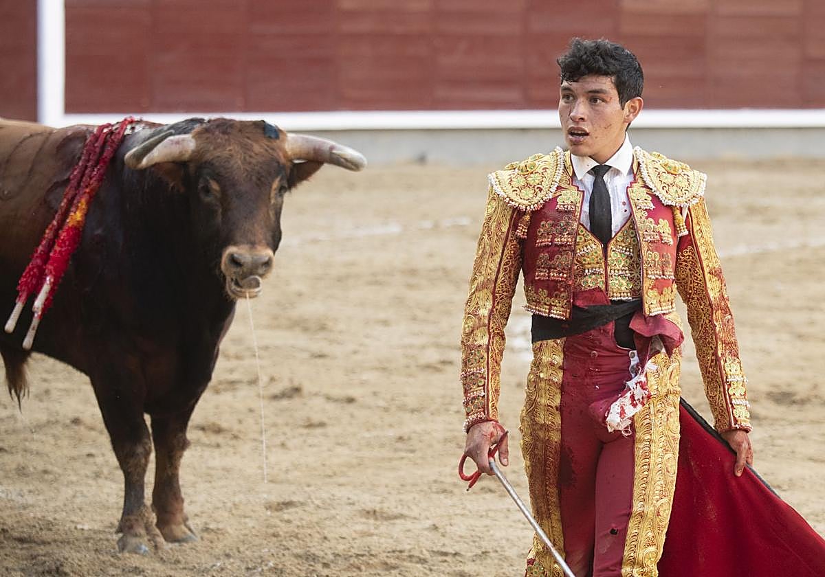 La Feria de San Isidro en Las Ventas: Tradición y Emoción Taurina en Madrid