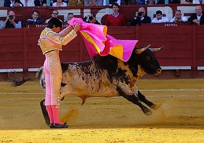 Sebastián Castella.