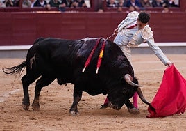 Adulador rinde honores a su mayoral