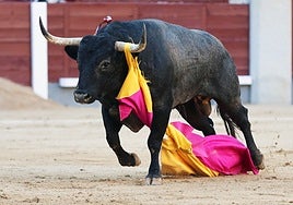 Zapatero y la botica de Saltillo